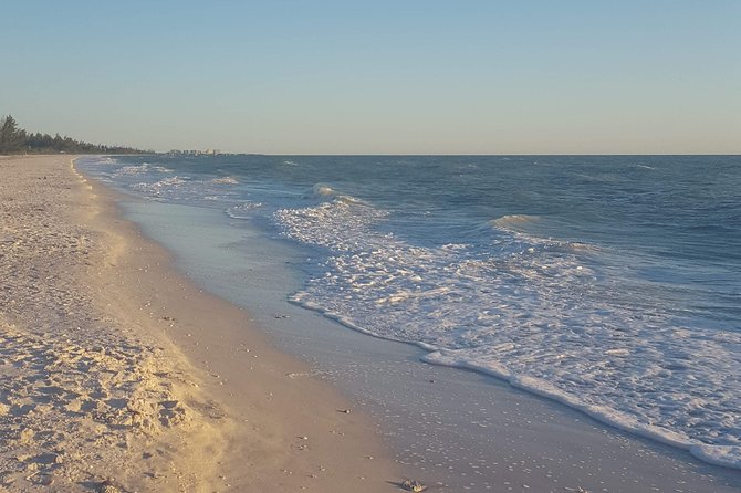 PRIVATE Eco Boat Trip out of Naples Bay, FL , island stop incl. - Pricing and Booking Insights