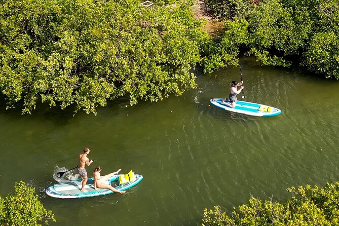 Private Eco Paddle Excursion - The Pacing and Duration of the Tour