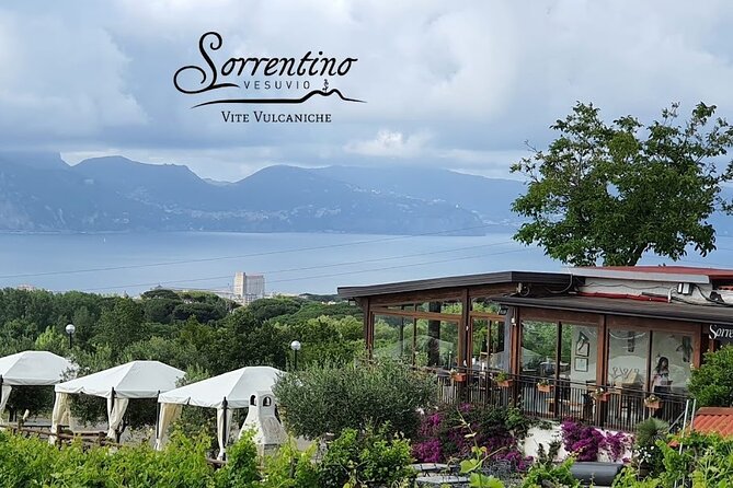 Private Educational Wine Tour, dedicated sommelier and trasport - Gourmet Multi-Course Lunch with Farm-to-Table Flavors