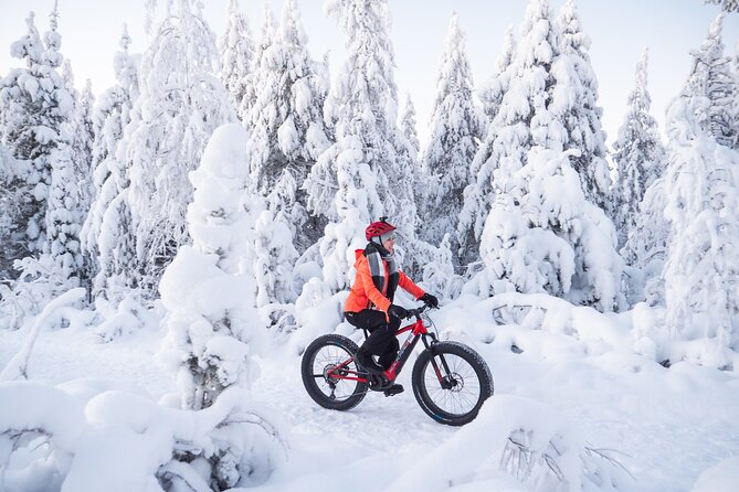 Private Electric Fat Bike Winter Tour in Rovaniemi - Starting Point at Hostel Café Koti in Rovaniemi
