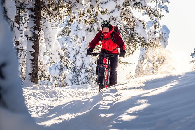 Private Electric Fat Bike Winter Tour in Rovaniemi - Riding the Ounasvaara Winter Trail