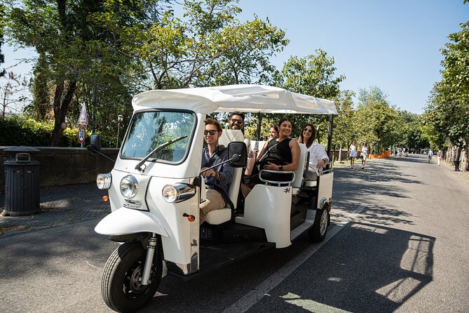 Private Electric Tuktuk Tour of Rome with Prosecco and Pickup - Who Will Enjoy This Tour Most?