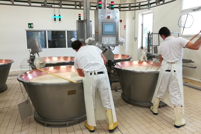 Private Emilian Food and Wine Tasting Tour in Modena - Personalization and Flexibility of the Tour Experience