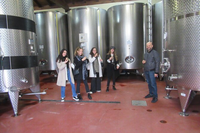 Private Emilian Food and Wine Tasting Tour in Modena - Cost and Booking Considerations