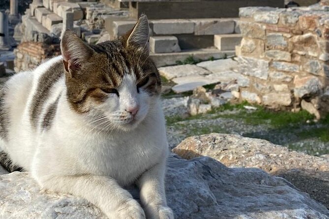 Private Ephesus and Artemis Temple Half Day Tour / On Time Return - Visiting the Iconic Temple of Artemis