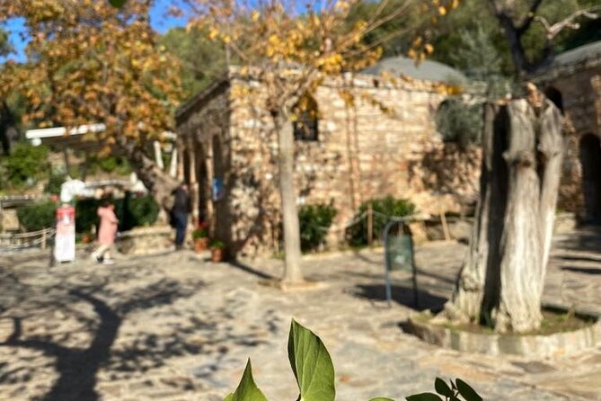 Private Ephesus Full-Day Tour from Izmir - Why Choose This Private Ephesus Tour?