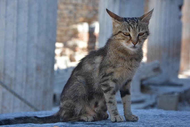 Private Ephesus Shore Excursion - Shopping for Traditional Handicrafts and Local Tips