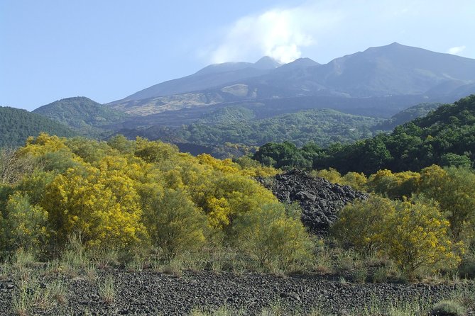 Private Etna tour from Messina Cruise Terminal+ Lunch at Winery - Optional cable car and 4x4 summit access