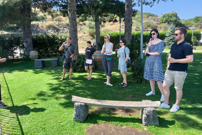 Private Etna tour with lunch in traditional "Trattoria" with organic food - Logistics: Private Transportation and Guide Expertise