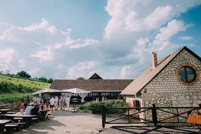 Private Etyek Wine tour with dinner including a Budapest Danube Evening Cruise - Practical Details and Travel Comfort