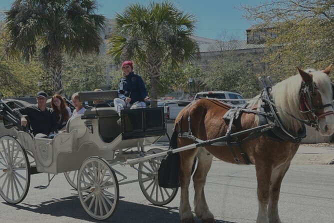 Private Evening Carriage Tour Charleston - Palmetto Carriage - Iconic Charleston Landmarks on the Route