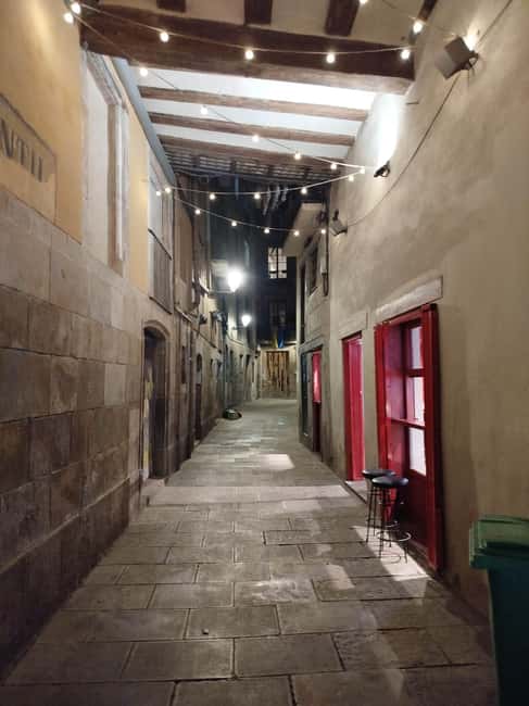 Private evening tour in Barcelona - Visiting the Barcelona Cathedral and Its Surroundings