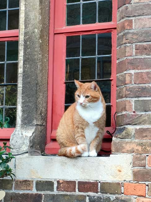 Private event: Bruges with a local! - The Charm of the Beguinage and Final Stop