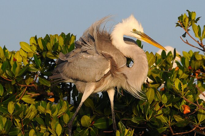Private Everglades 10,000 Islands Photo and Birding Boat Safari - Cancellation Policy and Weather Considerations