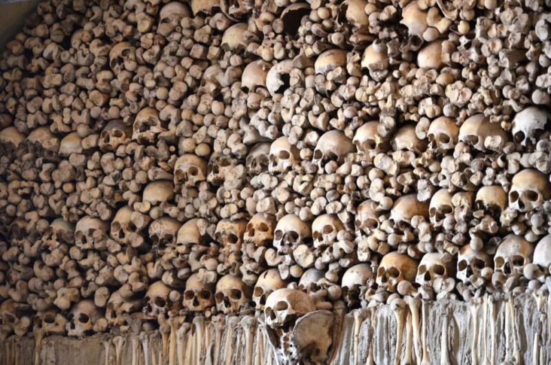 Private Évora Tour: Megaliths, Historic Center & Cork Region - Key Points