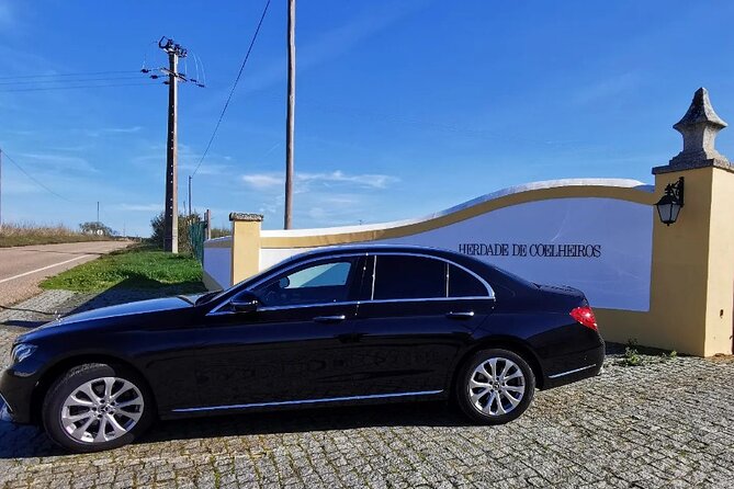 Private Évora Tour With Wine Experience and Wine Tasting - The Authentic Flavors at Tapada de Coelheiros