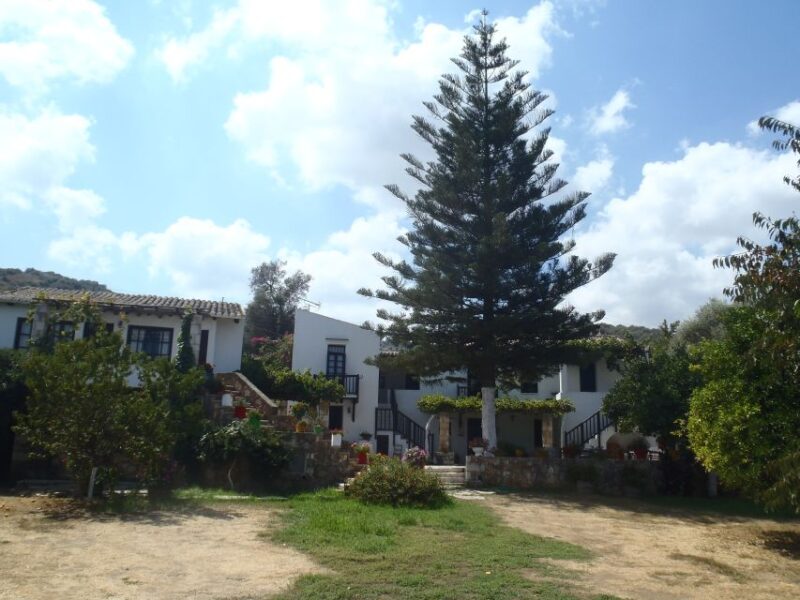 Private Exclusive Manousakis Winery and Vineyard Tour - The Route and Stops Along the Way