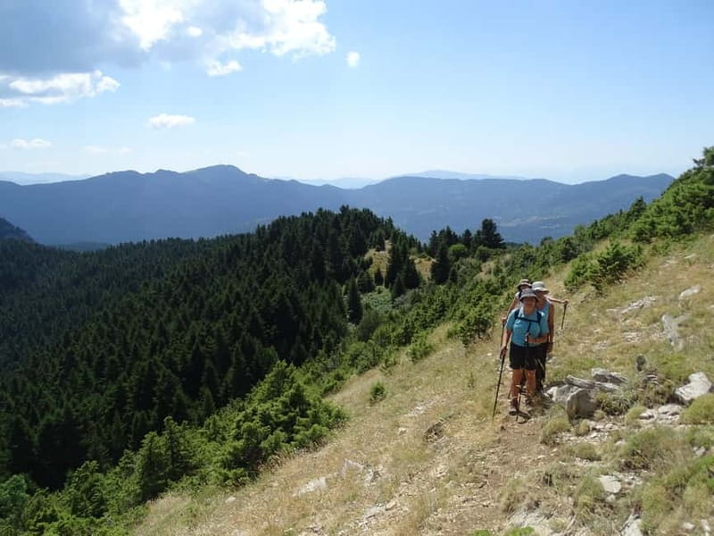 Private Excursion 2 Days: Athens - Nafpaktos & Mountainous Nafpaktia - The Practicalities: Transportation, Meals, and Flexibility