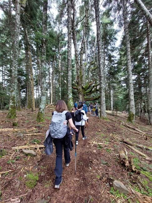 Private Excursion 2 Days: Athens - Nafpaktos & Mountainous Nafpaktia - Booking, Cancellation, and Payment Options