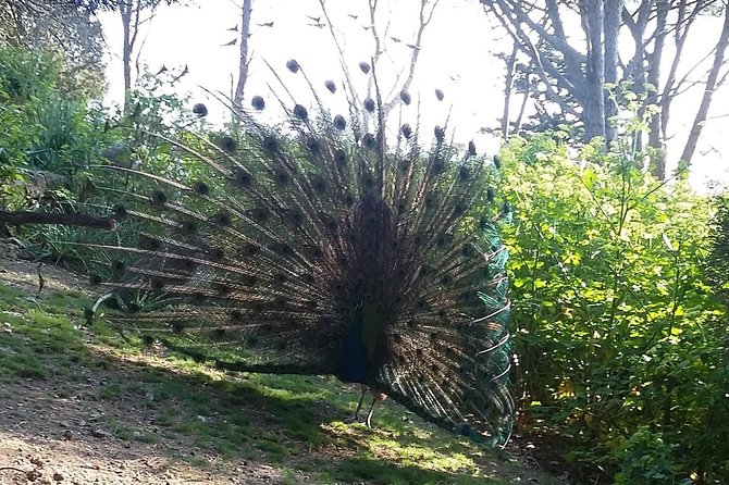 PRIVATE EXCURSION-Butterfly Valley, 7Springs and Filerimos Hill - Discovering Filerimos Hill and the Monastery