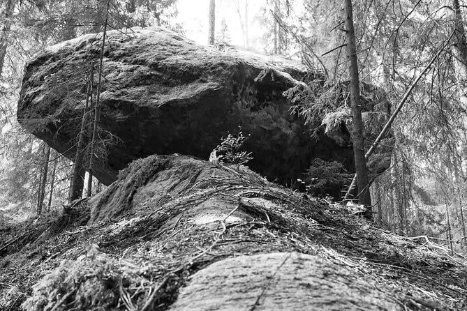 Private Excursion Kummakivi, Olavinlinna Castle & Scenic Drive - Meeting Point and Accessibility