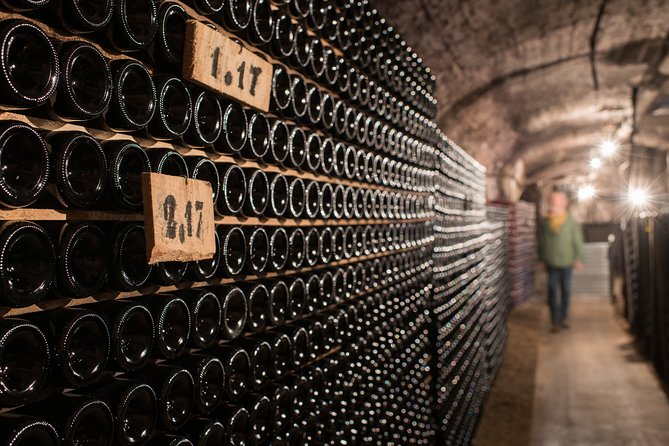 Private excursion to Côte de Beaune and Côte de Nuits (full day) - Visual Highlights and Cultural Landmarks