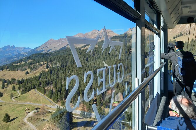 Private Excursion to Glacier 3000 - What’s Included in the Tour