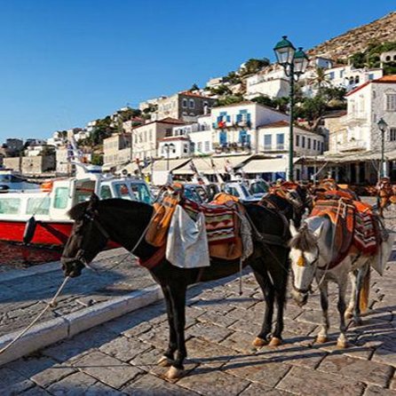 Private Excursion to Hydra Island - Free Time on Hydra for Exploration and Relaxation