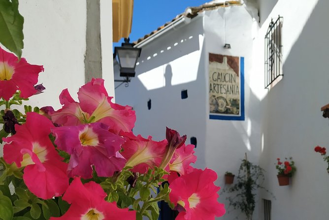 Private Excursion to Ronda from Costa del Sol 7 Hours - Exploring the Gardens of Cuenca and the Casa del Rey Moro