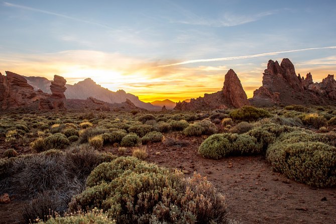 Private excursion to Teide National Park - Practical Considerations and Tour Limitations
