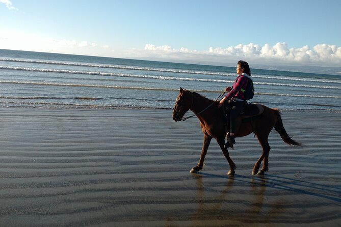 Private excursion to the bufadora and horseback riding on the beach - Exploring Ensenada’s Cultural and Scenic Spots