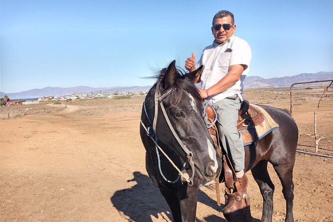 Private excursion to the bufadora and horseback riding on the beach - Frequently Asked Questions