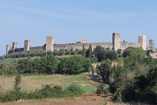 PRIVATE EXCURSION: Volterra & San Gimignano + wine tastings (from Livorno Port) - Wine Tasting and Tuscan Lunch at Podere La Marronaia