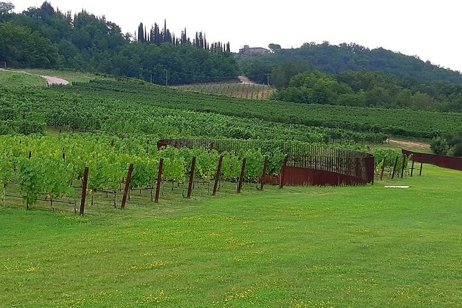 PRIVATE EXCURSION: Volterra & San Gimignano + wine tastings (from Livorno Port) - The Charm of San Gimignano’s Medieval Skyline