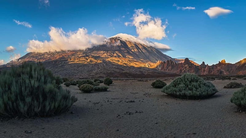 Private excursions for cruise-ship passengers - Exploring Mount Teide’s Unique Landscape