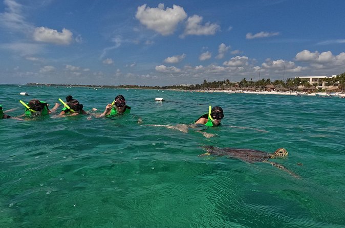 Private Experience in Akumal with Snorkeling - Snorkeling with Turtles and Coral Reefs