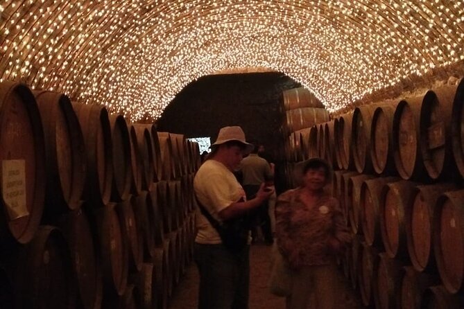 Private Experience of Tequila Town from Jalisco - Artisanal Tequila at Don Valente Distillery