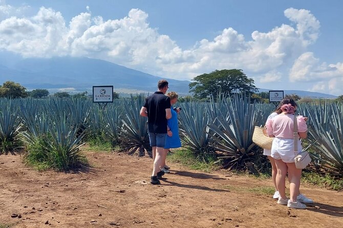 Private Experience of Tequila Town from Jalisco - Whats Included in the Tour