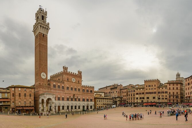 Private Experience Tuscany Tour from Rome - Scenic Drive Through Chianti’s Vineyards and Olive Groves