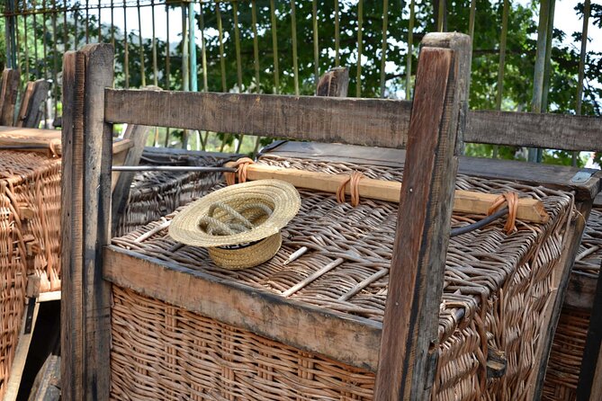 Private Express Tuk Tuk Tour Funchal Old Town & Toboggans - The Iconic Toboggan Ride Experience