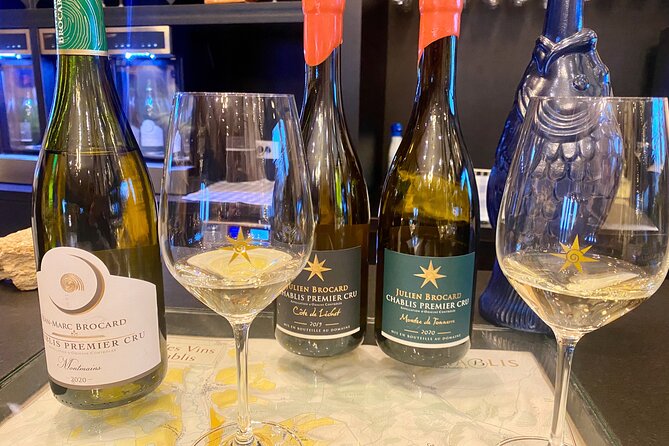 Private Exquisite Red & White Burgundy Wines Trip from Paris - Exquisite Burgundy Wine Experience from Paris for Discerning Enthusiasts