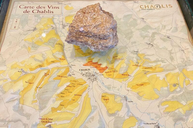 Private Exquisite Red & White Burgundy Wines Trip from Paris - What’s Not Included and Practical Tips