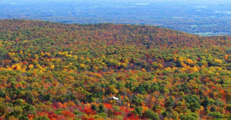 Private Fall Foliage Helicopter Tour of the Hudson Valley - How This Tour Compares to Similar Experiences