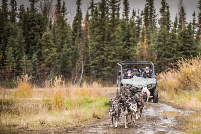Private Fall Foliage Mushing Cart Ride in Fairbanks - Meeting Point at Last Frontier Mushing Co-op