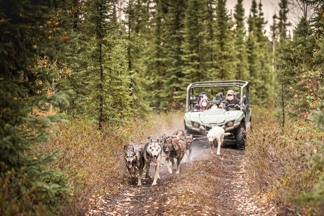 Private Fall Foliage Mushing Cart Ride in Fairbanks - Refreshments and Comfort During the Tour