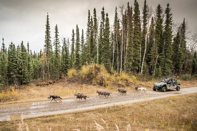 Private Fall Foliage Mushing Cart Ride in Fairbanks - Cancellation Policy and Booking Flexibility