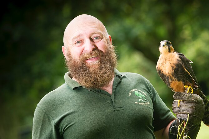 Private Family Bird of Prey Experience in Carlisle - Discover a Personal Falconry Adventure in Carlisle for Up to Two People
