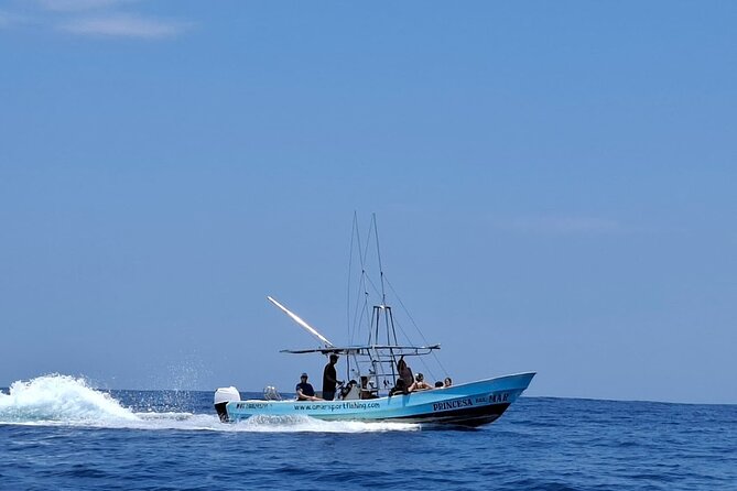 Private Family Dolphin and Whale Tour in Puerto Escondido - Encountering Dolphins, Turtles, and Tropical Birds