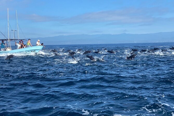 Private Family Dolphin and Whale Tour in Puerto Escondido - The Expertise of Local Guides and Their Role in the Experience
