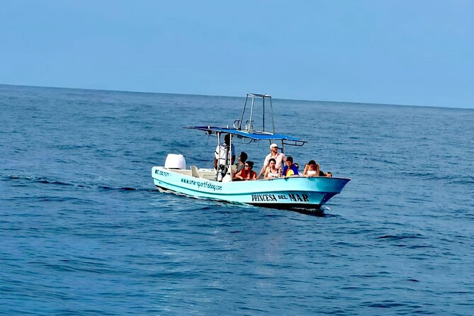 Private Family Dolphin and Whale Tour in Puerto Escondido - Seasonal Whale Sightings and the Best Times to Visit